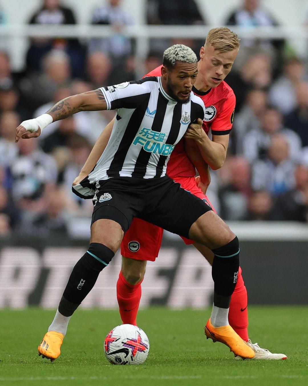 关键词布局 关键词布局